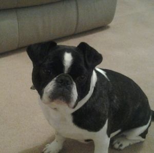 Meet your Posher, Bronwyn